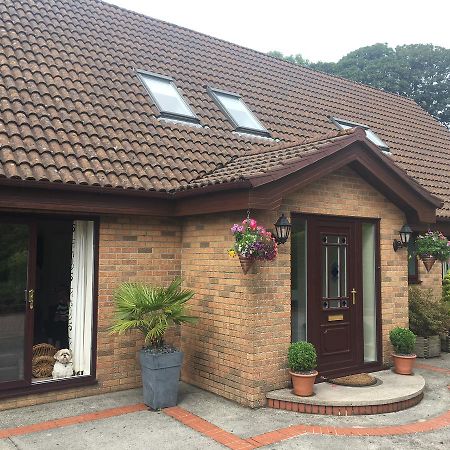 ダグラス The Firs - Englefied Studio Bed & Breakfast エクステリア 写真